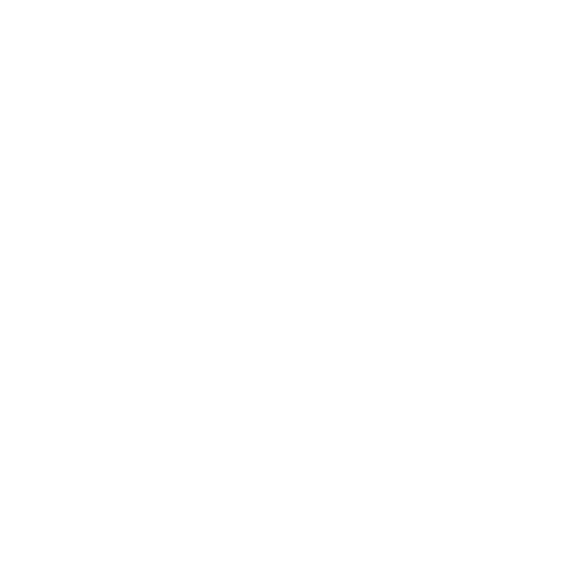 Inspección