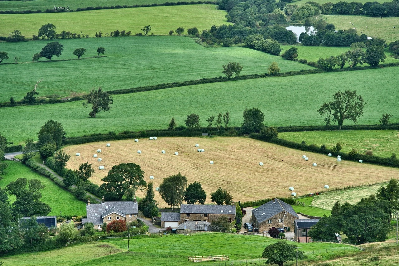 Avalúos de terrenos agrícolas o ganaderos